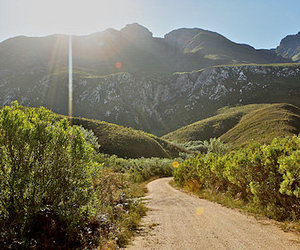 Outdoor Adventures in Swellendam